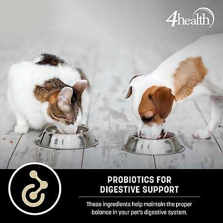 4health Special Care Adult Sensitive Skin Formula Dry Dog Food L5607