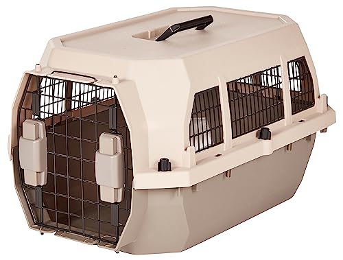 2-Door Top-Load Hard-Sided Pet Travel Carrier, Gray & Blue, 22.8"L x 15.0"W x 13.0"H T797354
