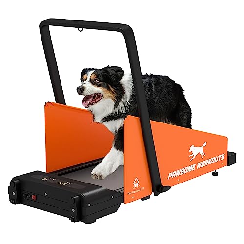 Dog Treadmill for Small and Medium Dogs Y4536