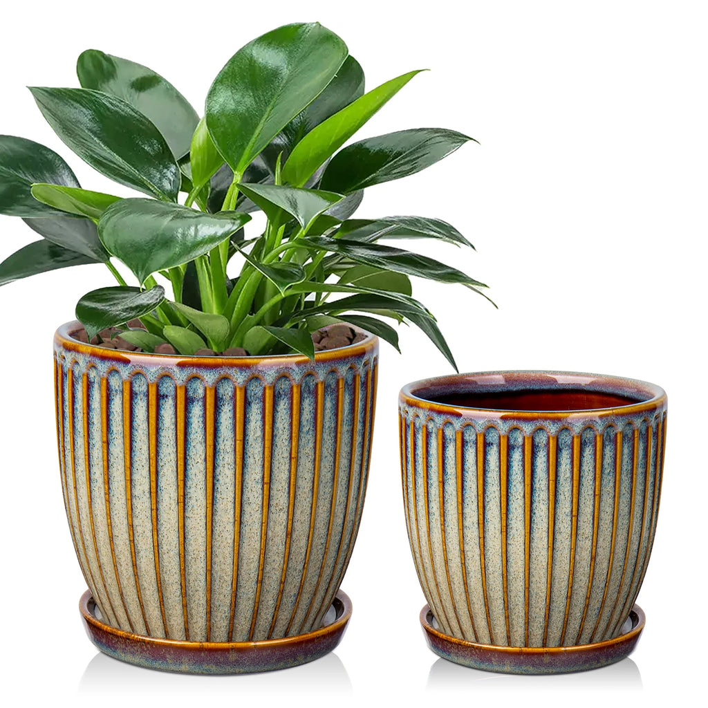 2 Pcs Ceramic Plant Pots with Saucer I229981