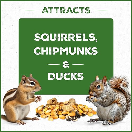 10-lb. Bag Squirrel & Critter Blend With Corn, Sunflower Seeds and Peanuts Q37508