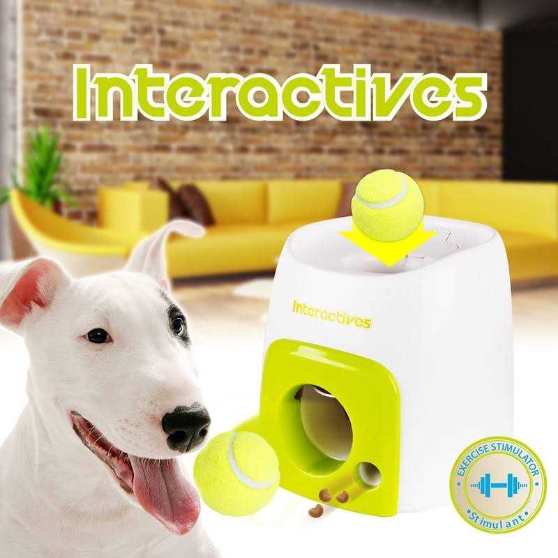 Interactive Fetch-N-Treat Dog Toy O296