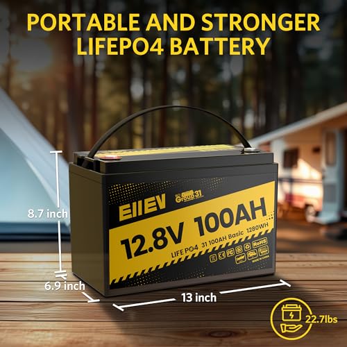 12V 100Ah LiFePO4 Battery with 100A BMS S1482