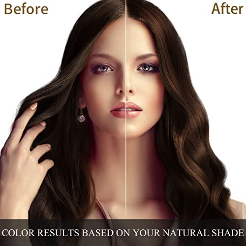 Dark Brown Hair Dye Shampoo 3 in 1 500ML G8256