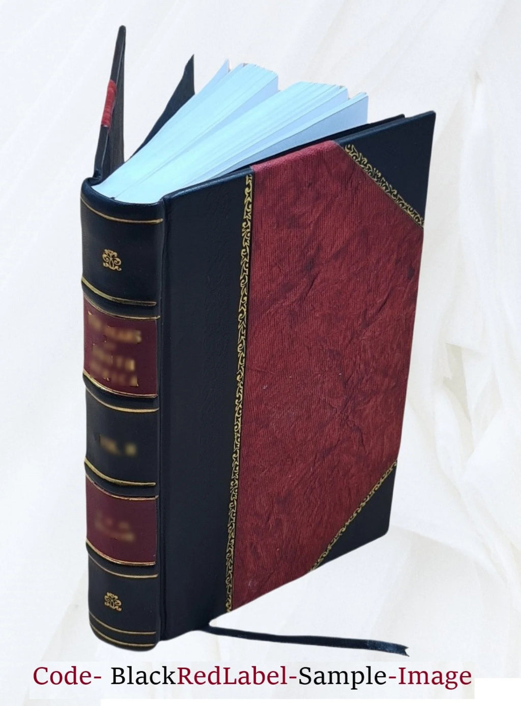 1906 Astoria City and Clatsop County Directory [Leather Bound] S48541