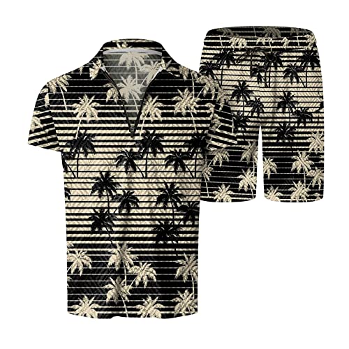 Mens Printed Short Sleeve 2 Piece Outfits Sets T4512