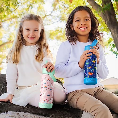 18oz 2 Pack Double Wall Stainless Steel Insulated Water Bottle with Straw F667