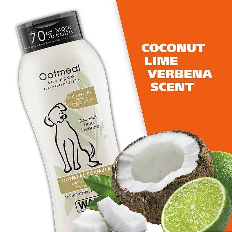 Oatmeal Coconut Lime Verbena Shampoo Concentrate I932