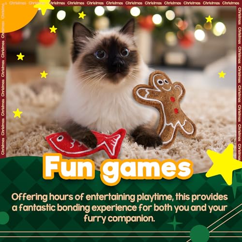 2 Set Cat Toys with Catnip G70736
