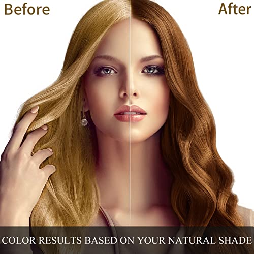 Dark Brown Hair Dye Shampoo 3 in 1 500ML G8256