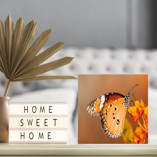 Wood Box Sign 7x7 Inch X55683