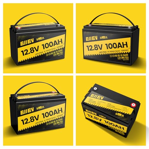 12V 100Ah LiFePO4 Battery with 100A BMS S1482