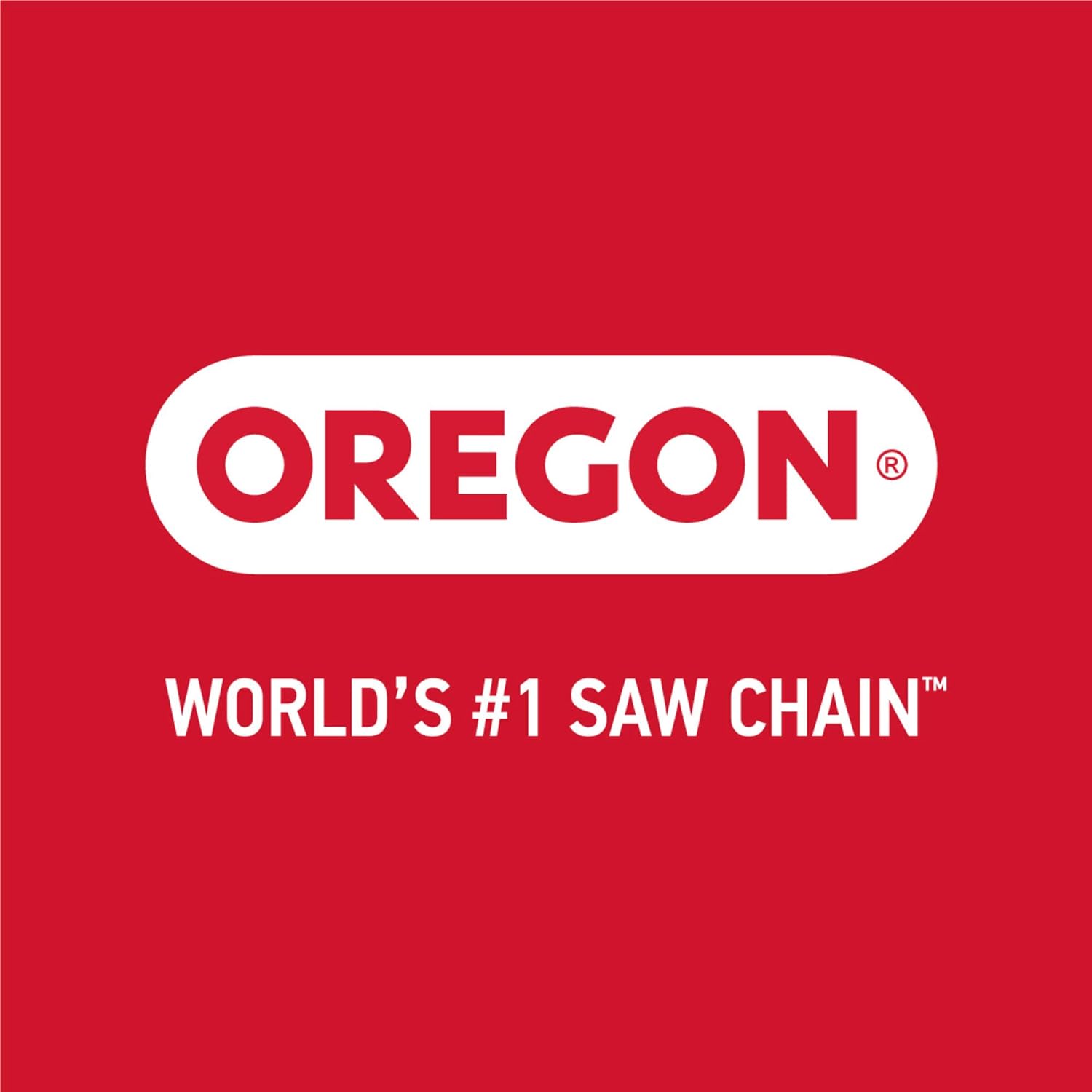 20-Inch Chainsaw Bar and 81 Drive Link Chainsaw Chain Combo B42452
