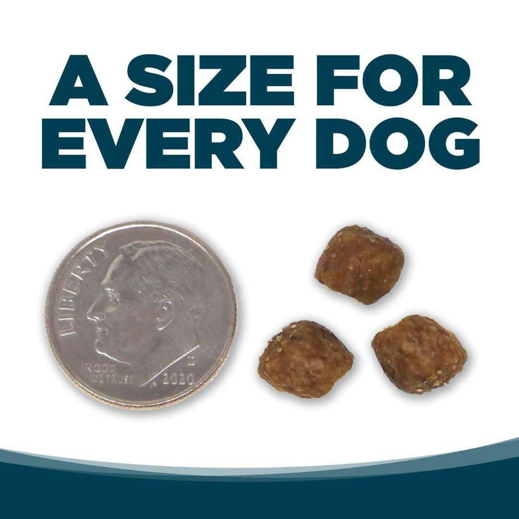 Small Bites Adult Chicken & Rice Dry Dog Food I8447