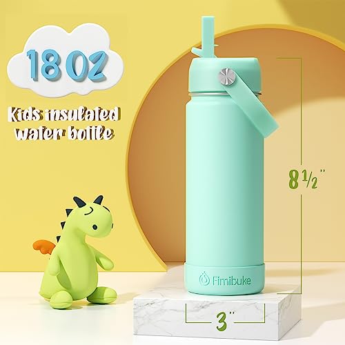 18oz 2 Pack Double Wall Stainless Steel Insulated Water Bottle with Straw F667