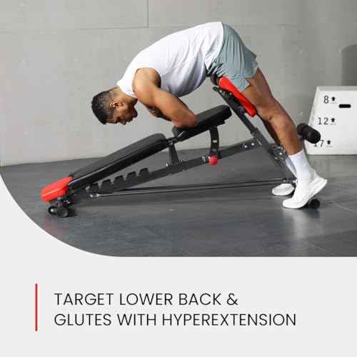 Multi-Functional Weight Bench I409