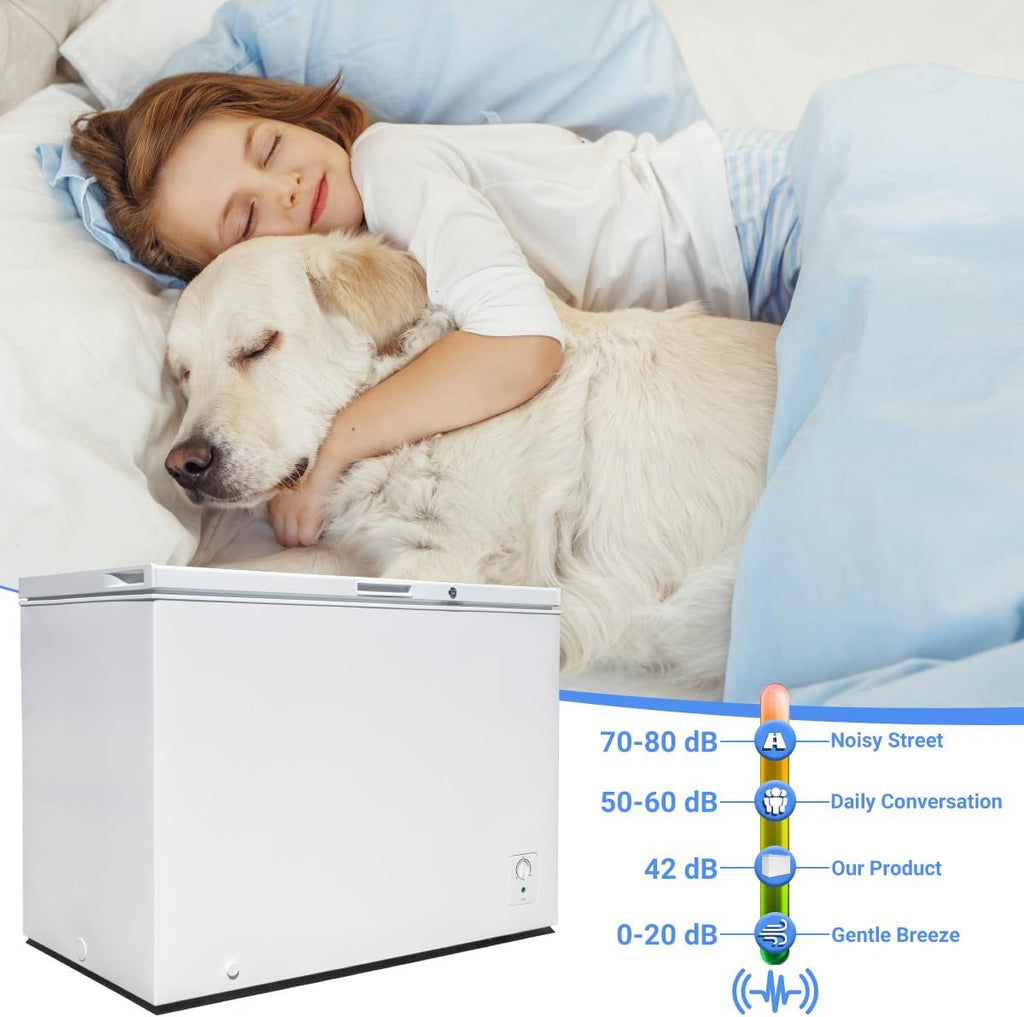 White 10 Cu. Ft. Chest Freezer with Lock and Adjustable Thermostat B55392
