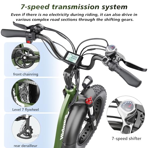 20"X 4.0" Fat Tire 48V 20Ah Lithium Battery 7 Speed Electric Tricycle Z97926