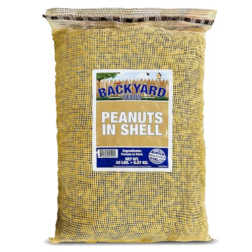 Raw Peanuts 25 Pounds M3172