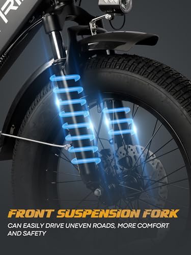 20.8Ah Removable Battery 750W Motor 7 Speed 20 x 4.0 Fat Tire Electric Bike S6354