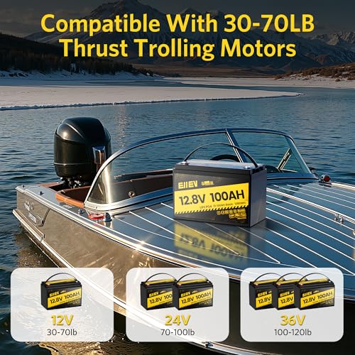 12V 100Ah LiFePO4 Battery with 100A BMS S1482