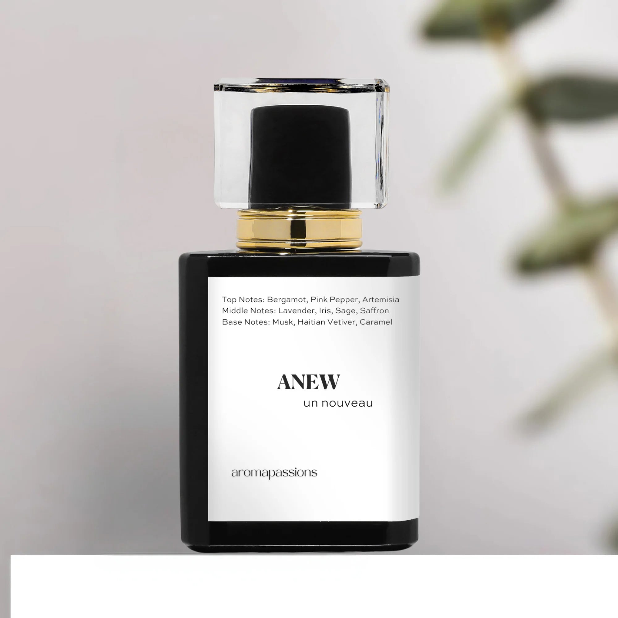 Pheromone Perfume for Men Extrait De Parfum G79967