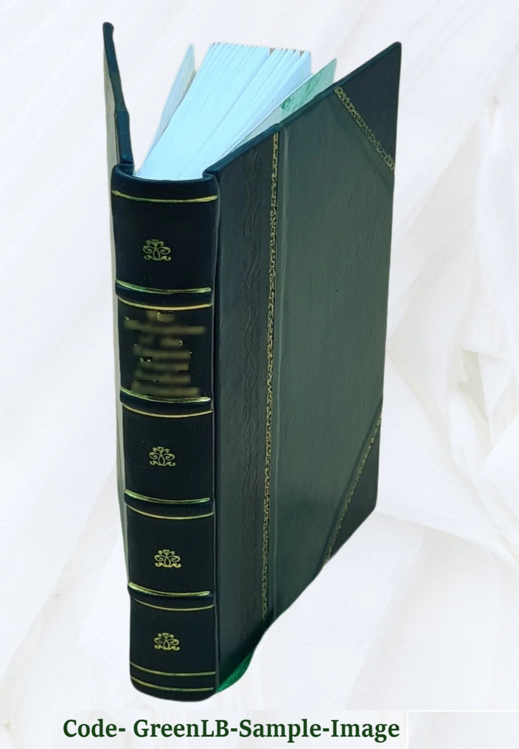 1906 Astoria City and Clatsop County Directory [Leather Bound] S48541