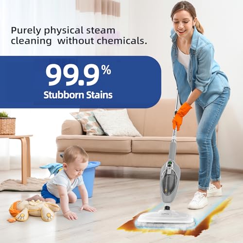 10-in-1 Handheld Steam Cleaner with 11 Accessories B9303