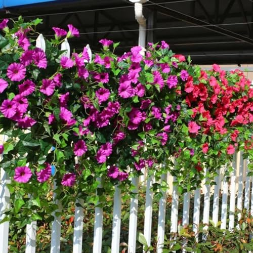 26in Artificial Morning Glories P72563