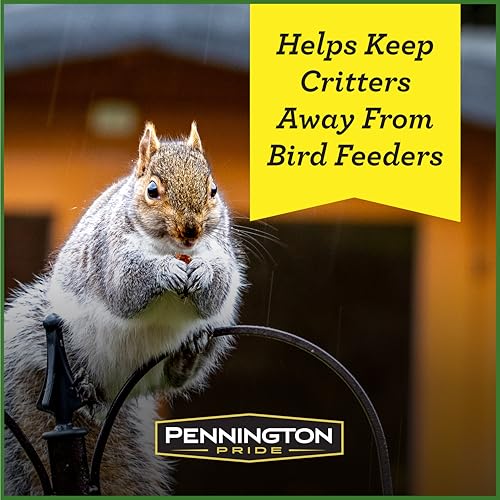 10-lb. Bag Squirrel & Critter Blend With Corn, Sunflower Seeds and Peanuts Q37508