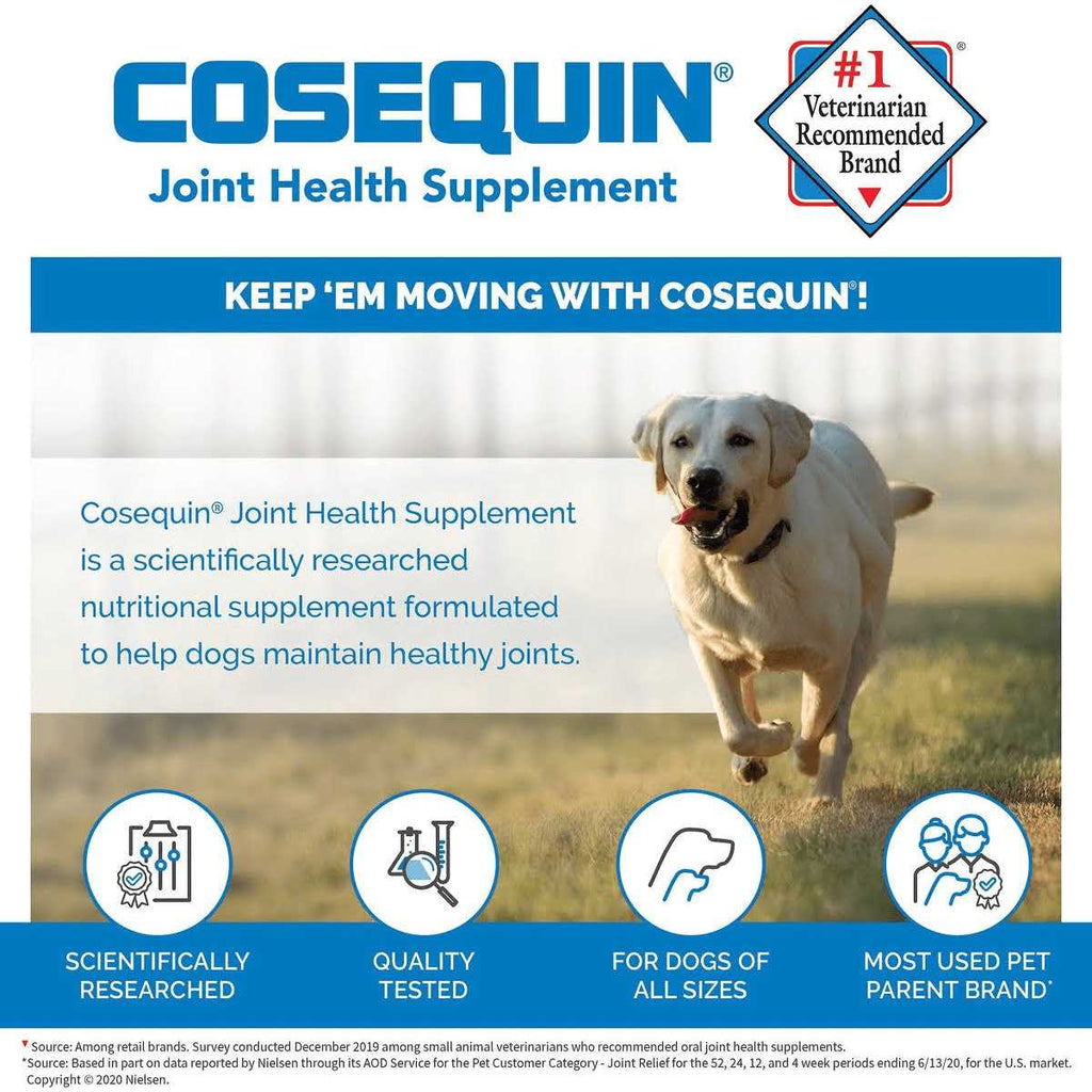 Soft Chews with MSM Plus Omega-3s for Dogs V70515