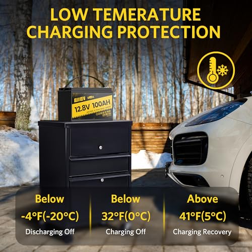 12V 100Ah LiFePO4 Battery with 100A BMS S1482