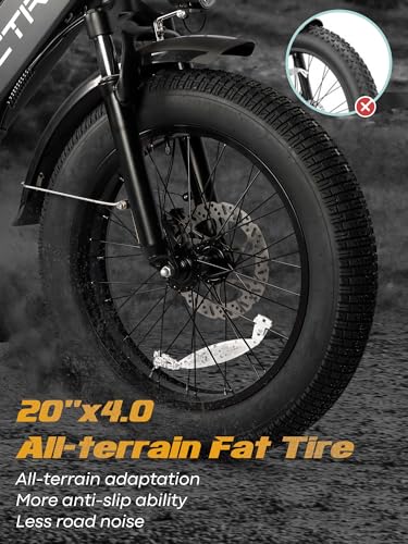 20.8Ah Removable Battery 750W Motor 7 Speed 20 x 4.0 Fat Tire Electric Bike S6354