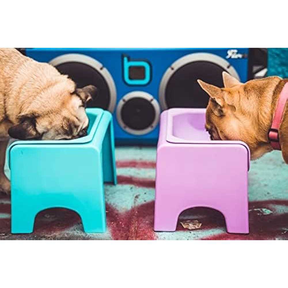 Elevated Dog & Cat Feeder H43856