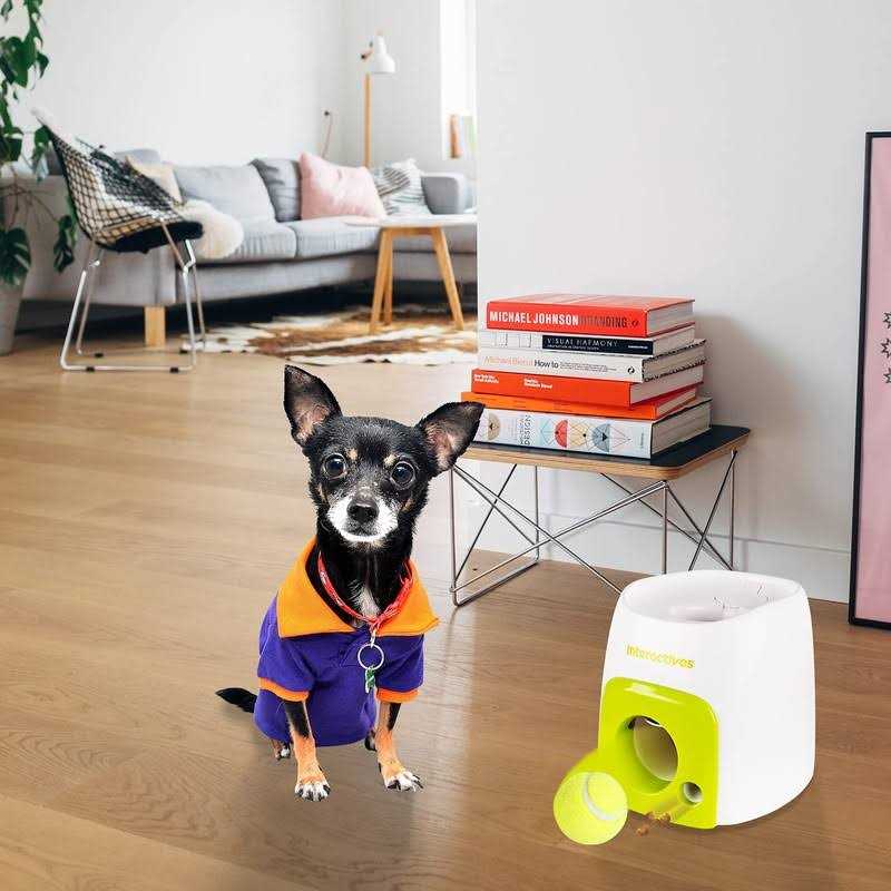 Interactive Fetch-N-Treat Dog Toy O296