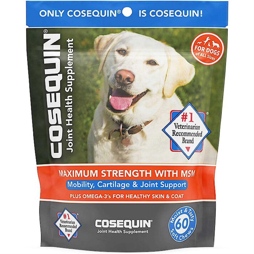 Soft Chews with MSM Plus Omega-3s for Dogs V70515