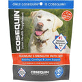 Soft Chews with MSM Plus Omega-3s for Dogs V70515