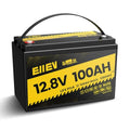 12V 100Ah LiFePO4 Battery with 100A BMS S1482