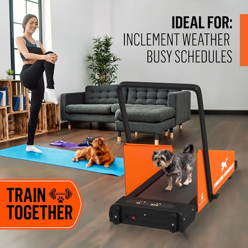 Dog Treadmill for Small and Medium Dogs Y4536
