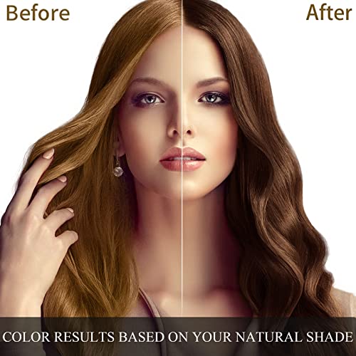 Dark Brown Hair Dye Shampoo 3 in 1 500ML G8256