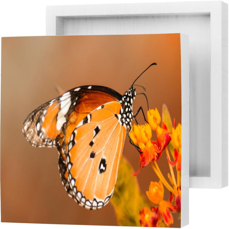 Wood Box Sign 7x7 Inch X55683