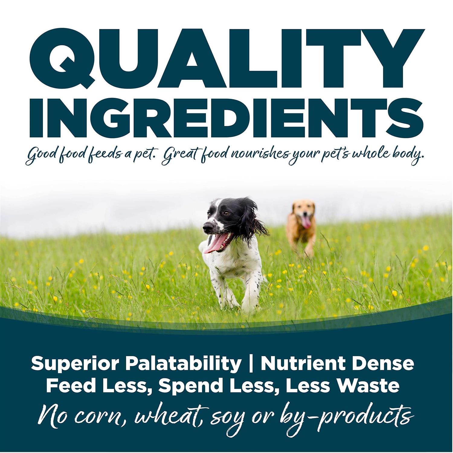 Small Bites Adult Chicken & Rice Dry Dog Food I8447