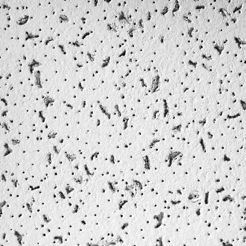 24 in x 24 Ceiling Tile S890161