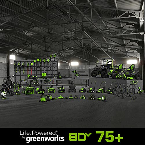 21-Inch 80V Self-Propelled Cordless Lawn Mower Z78910
