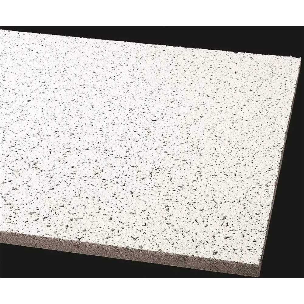 24 in x 24 Ceiling Tile S890161