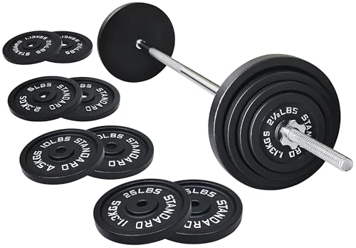 95 Lbs Cast Iron Standard Barbell Weight Set with Barbell Bar G116502