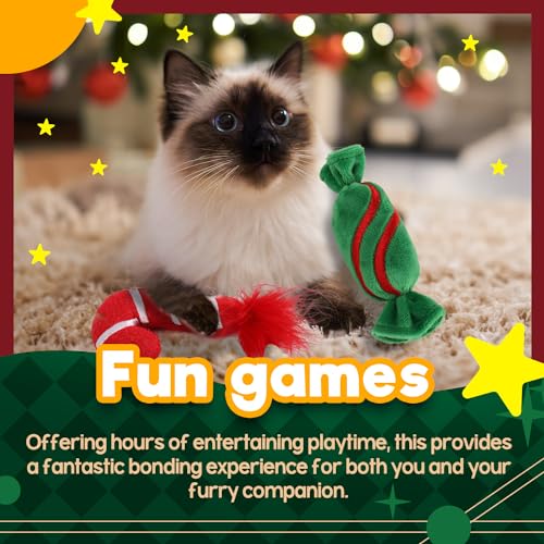 2 Set Cat Toys with Catnip G70736