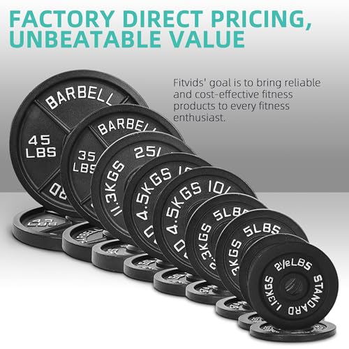 95 Lbs Cast Iron Standard Barbell Weight Set with Barbell Bar G116502