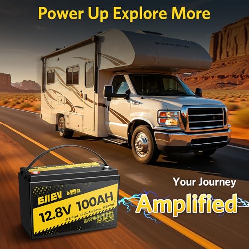 12V 100Ah LiFePO4 Battery with 100A BMS S1482