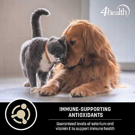 4health Special Care Adult Sensitive Skin Formula Dry Dog Food L5607